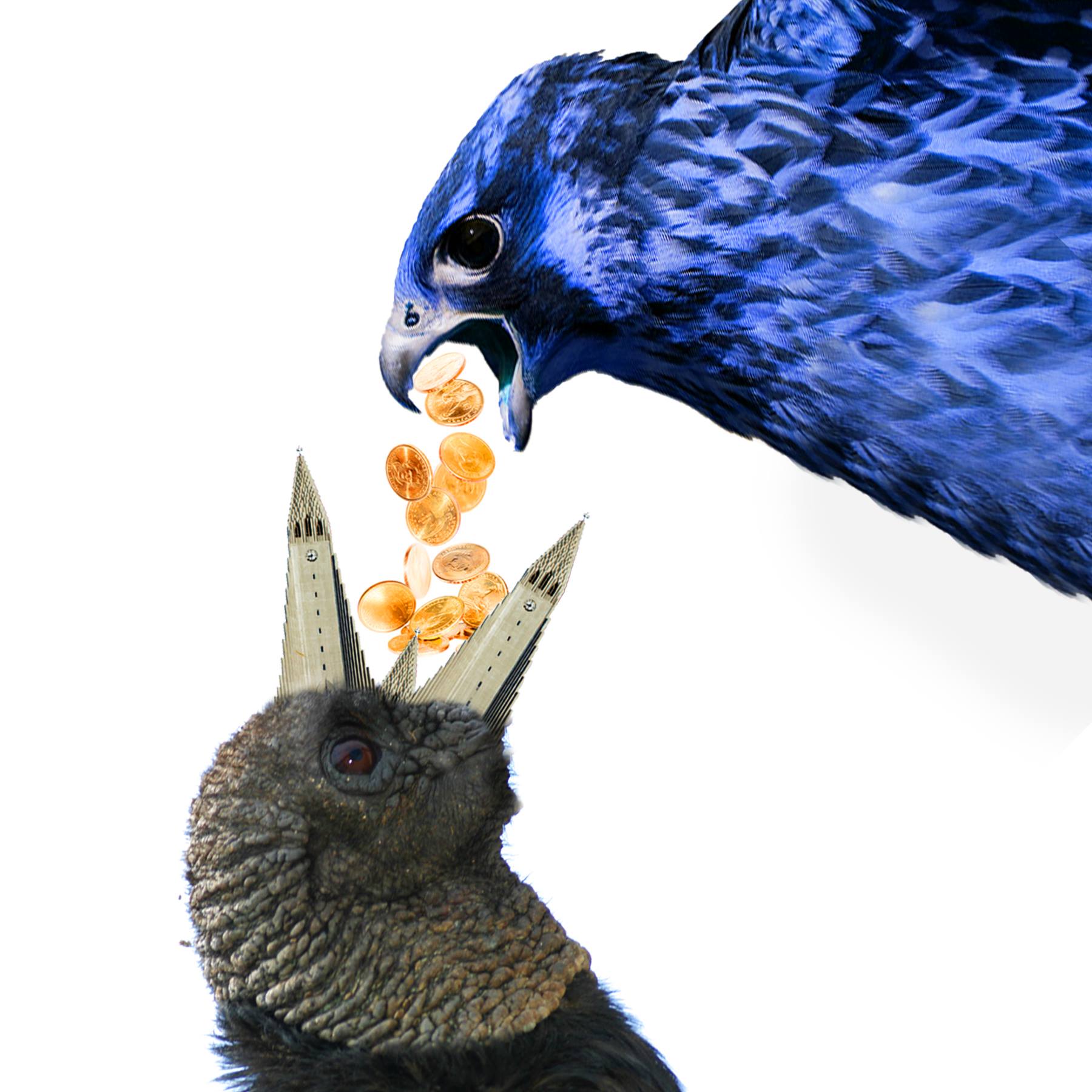 Two birds