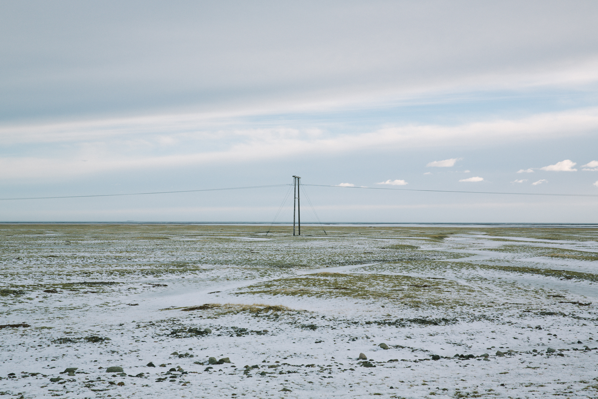 Bleak scene