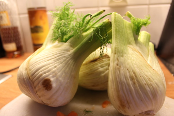Fennel
