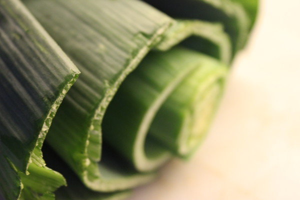 Leek