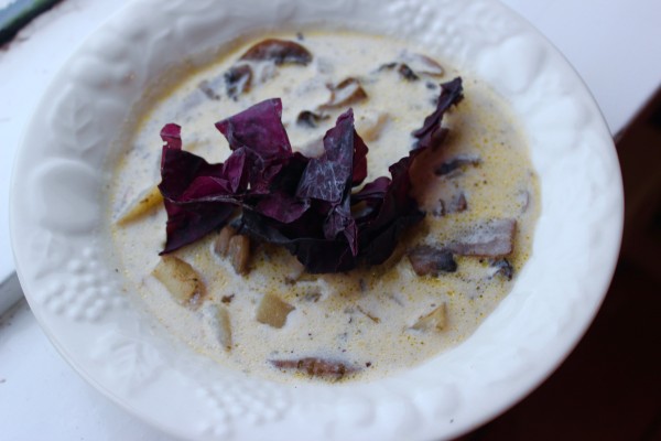 Dulse and Mushroom
