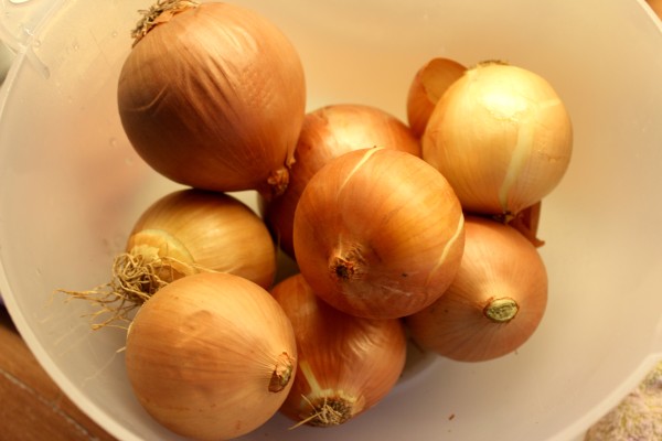 German Onions