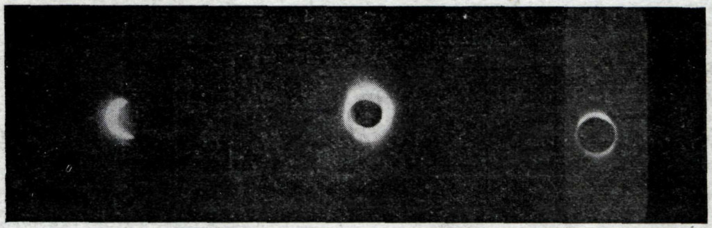 Lemúrinn Do Sheep Care About Solar Eclipses by US National Archives and Records Administration1