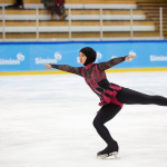 RIG2015 Figure Skating by Art Bicnick2