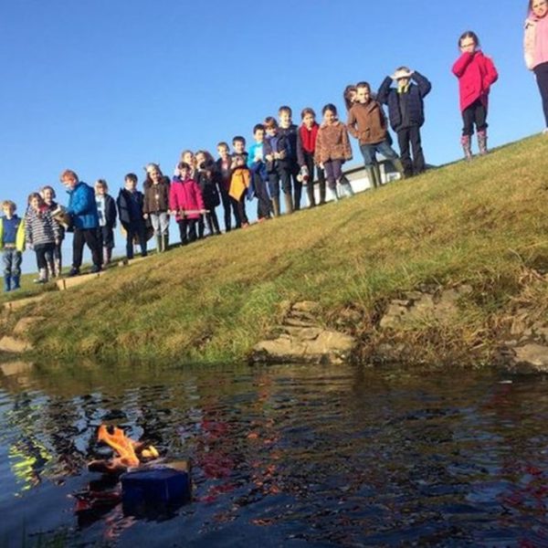 papdale school goldfish burial 2