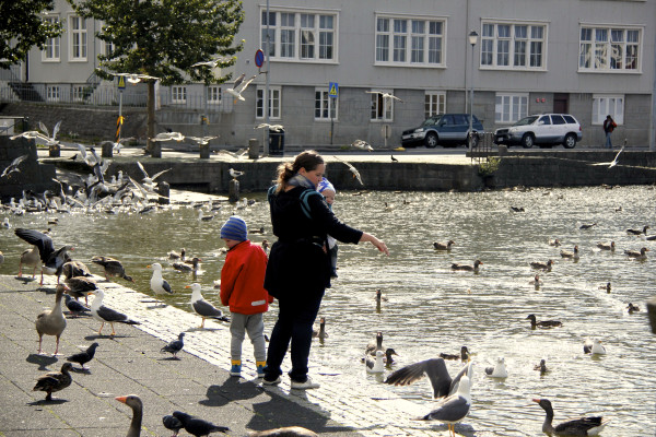 pond