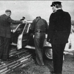 rauðholar