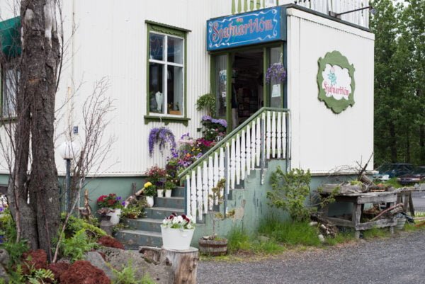 selfoss (4 of 41)
