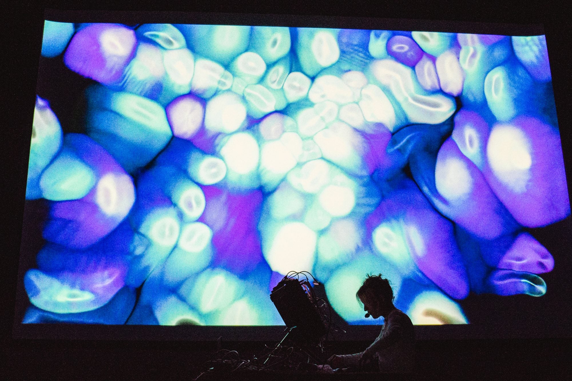 Norður Og Niður Day Two: Verdant Sounds, Crystal Dreams & An Absence Of Dogs