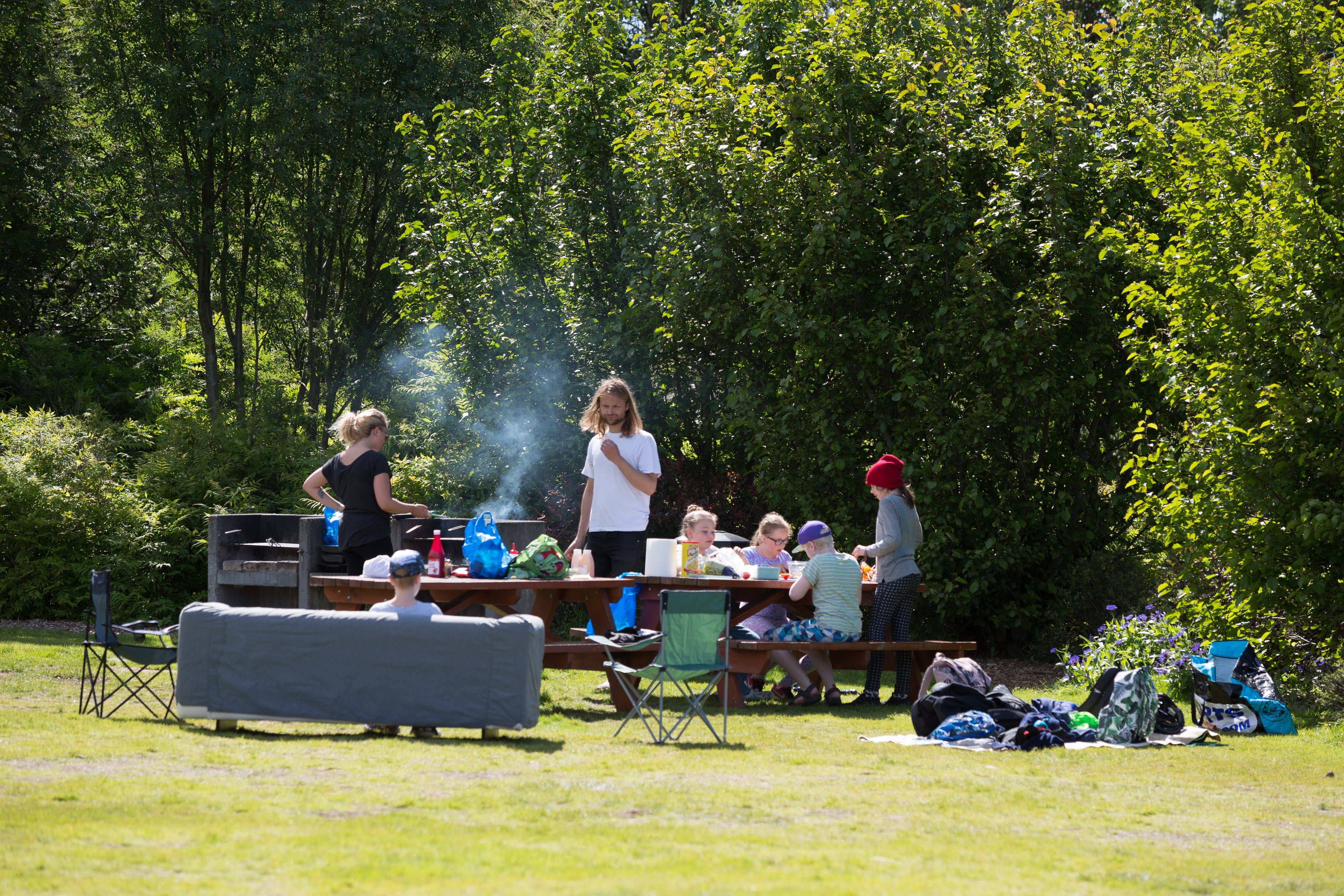 Have A Picnic In Reykjavík
