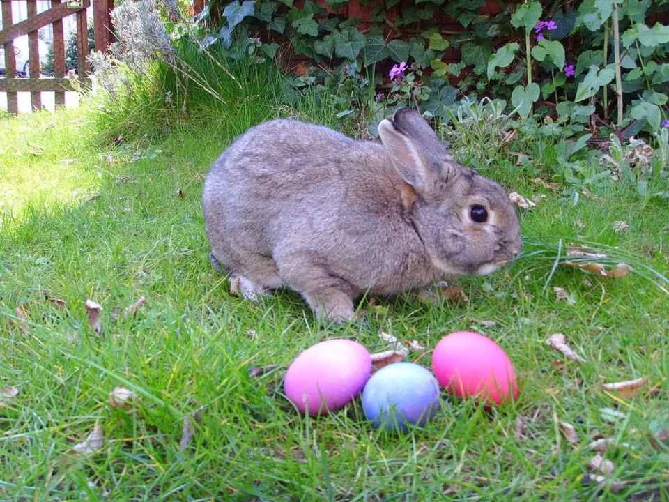 Easter 2026 Opening Hours In Iceland