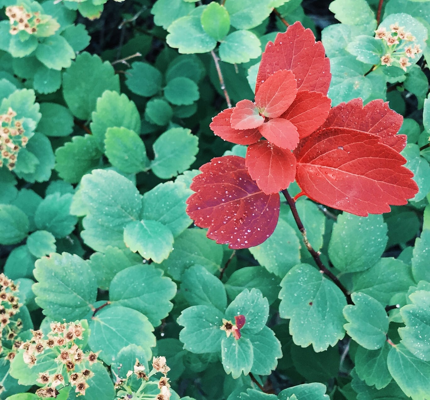 Welcoming Autumn For This Week’s #GVPics