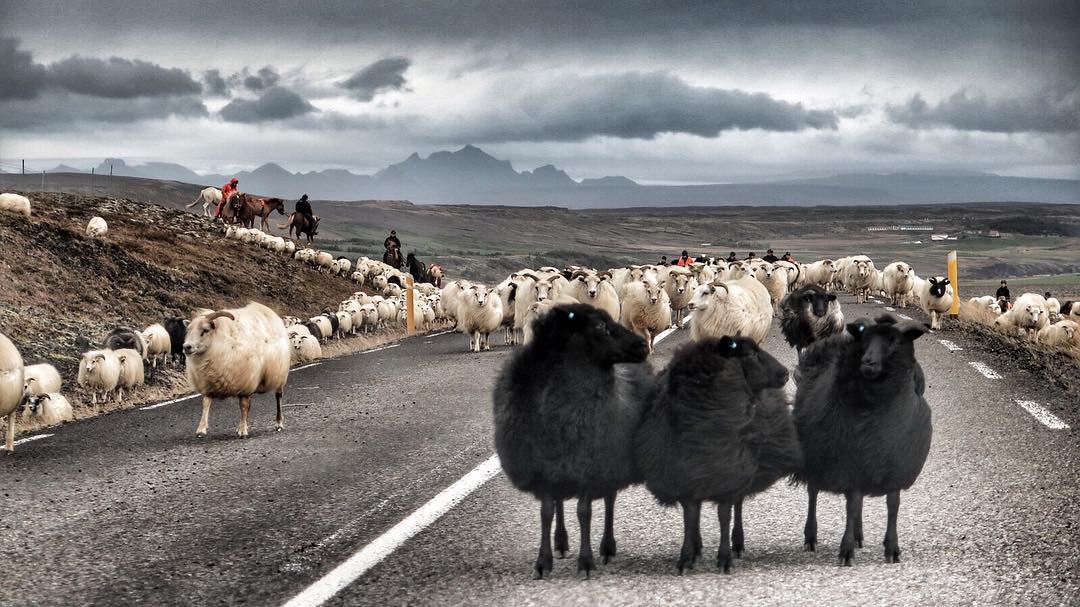 The Winner Of This Week’s #GVPics Competition