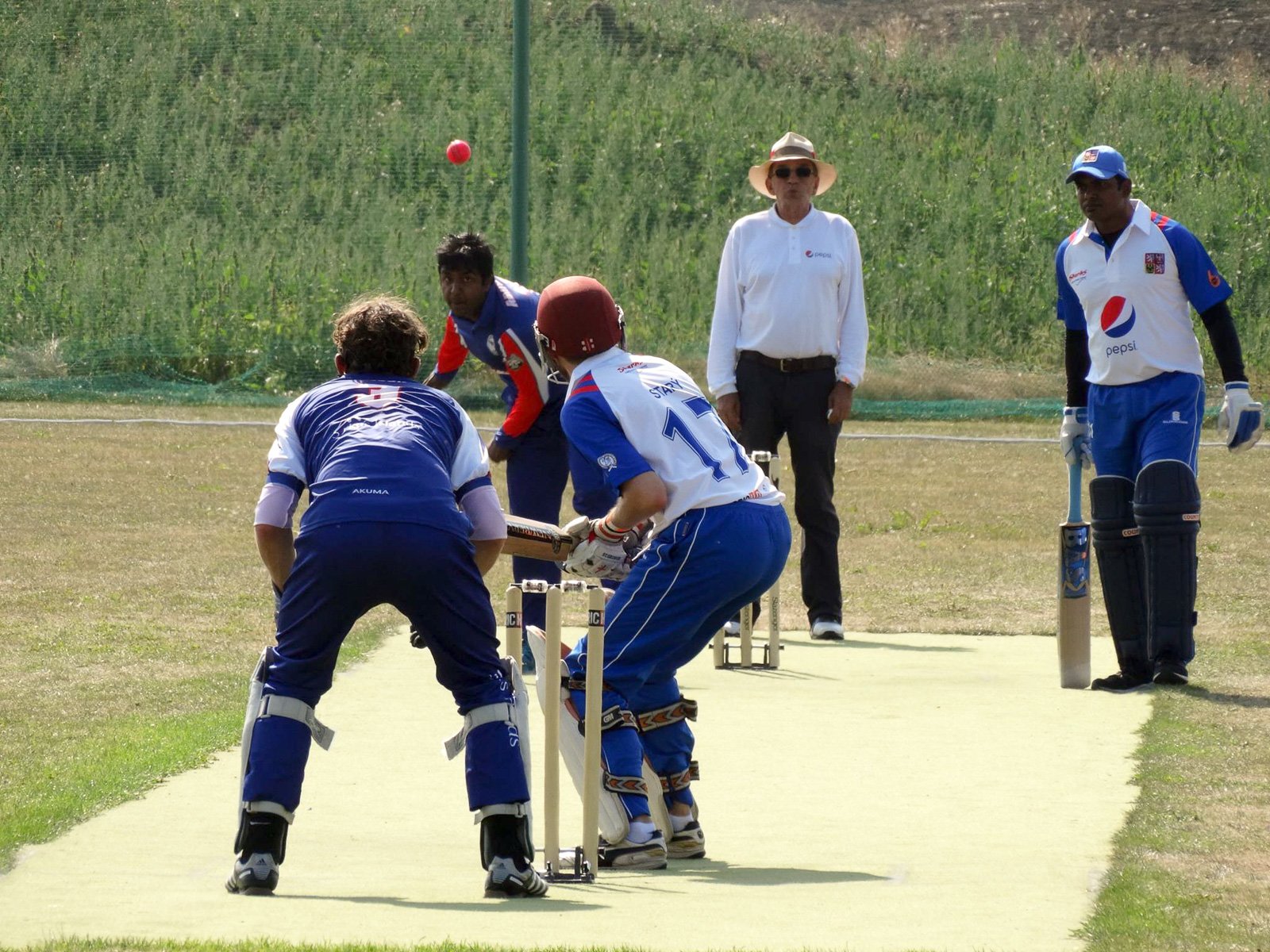 Batting Up A Storm: Iceland’s Cricket Scene