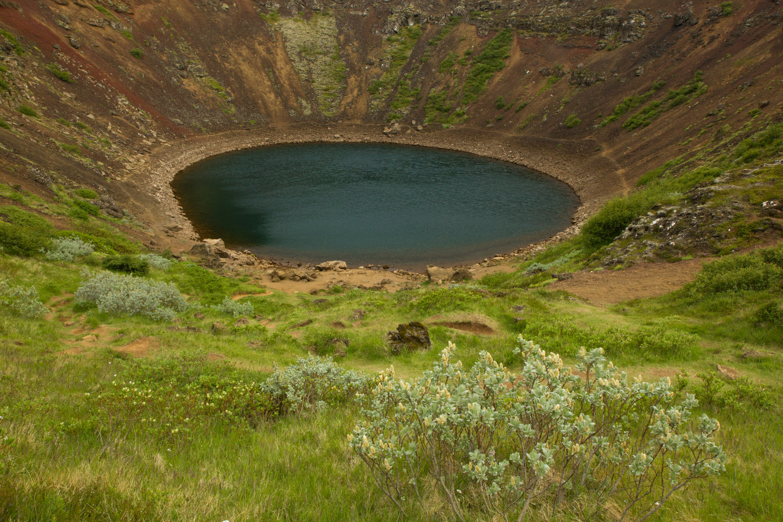 The Toll On Nature