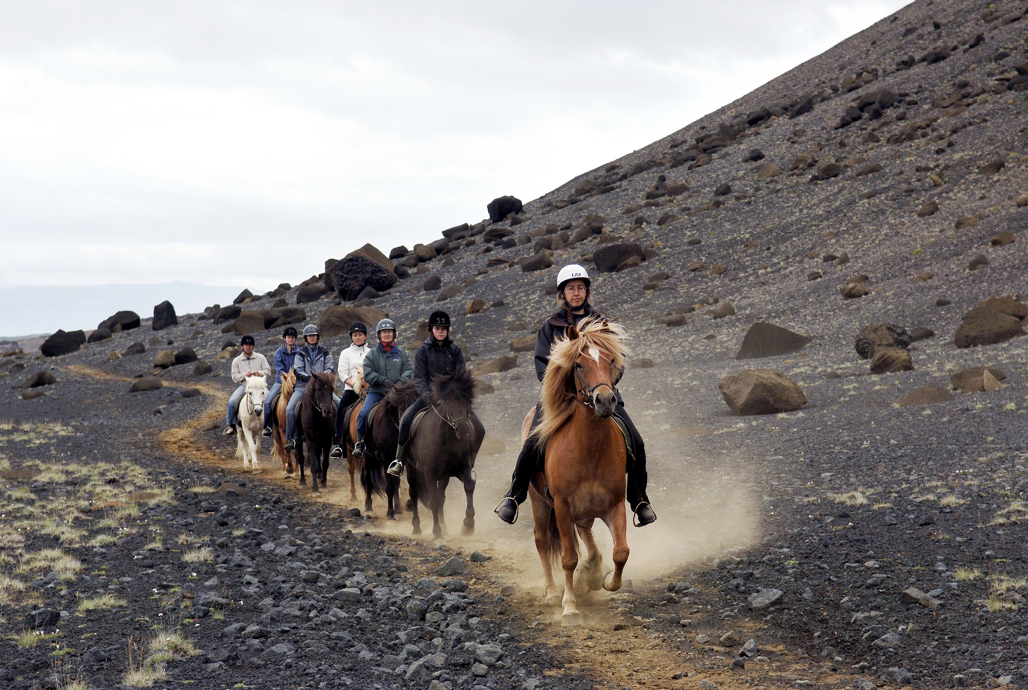 Tölting Through The Lava Fields