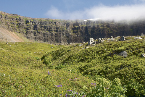 A Hike In Hornstrandir: Mountains, Fjords and Gods