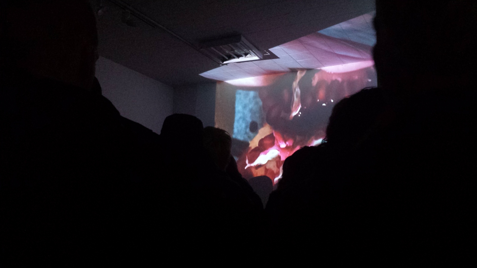 A Show In An Art Gallery??