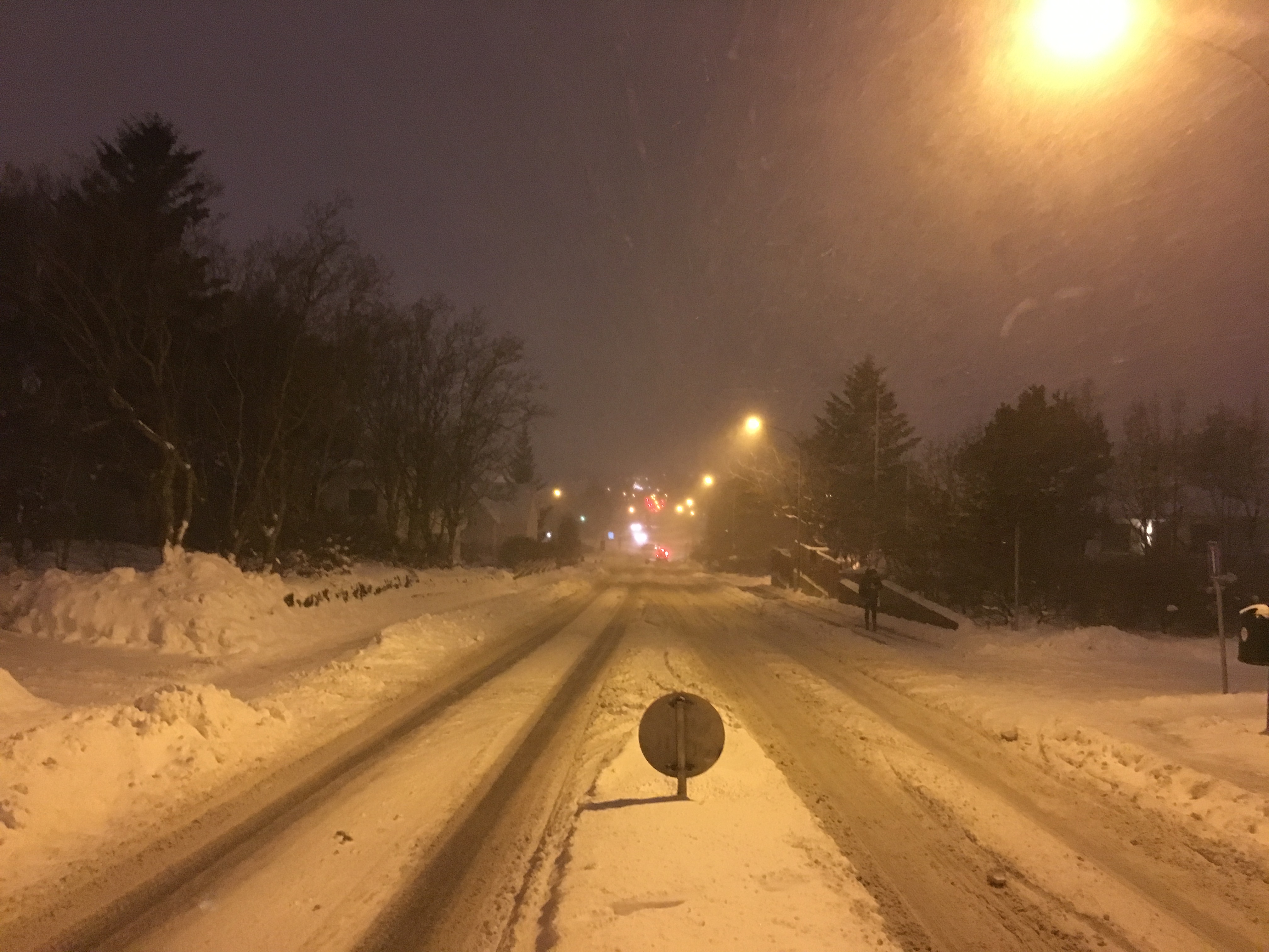 Stay Home! Read A Book! SNOWMAGEDDON Is Here!