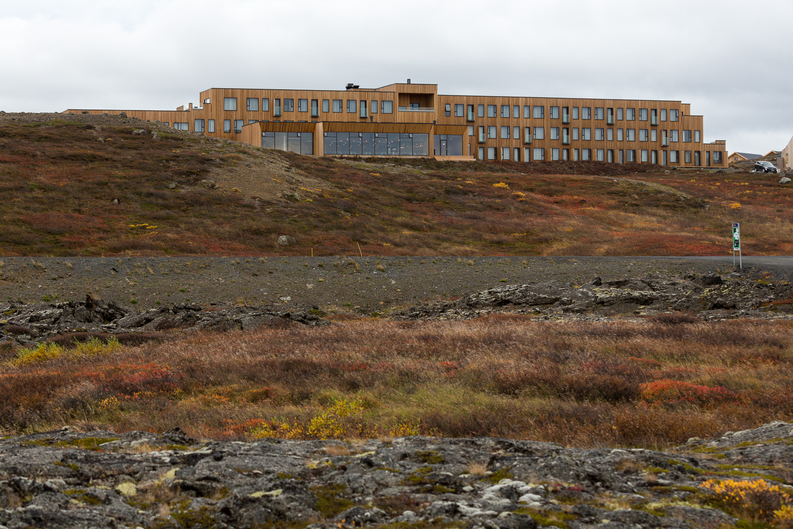 Reykjahlíð Town Guide: Nature Hikes, Plane Rides And Cows