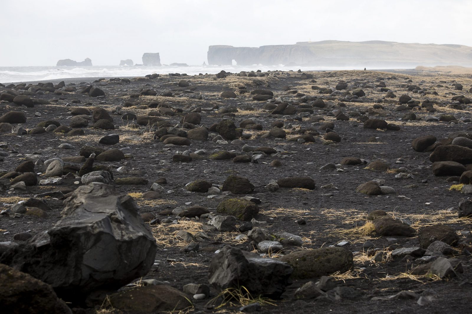 Plokk Dagurinn – Be Part Of The Solution, Not The Pollution.