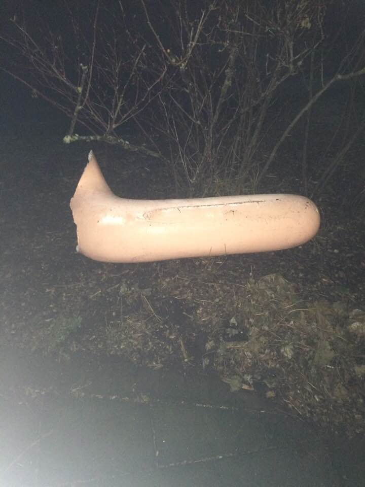 Reykjavik Pond’s “Little Sea-Hotdog” Sculpture Stolen, Found Discarded