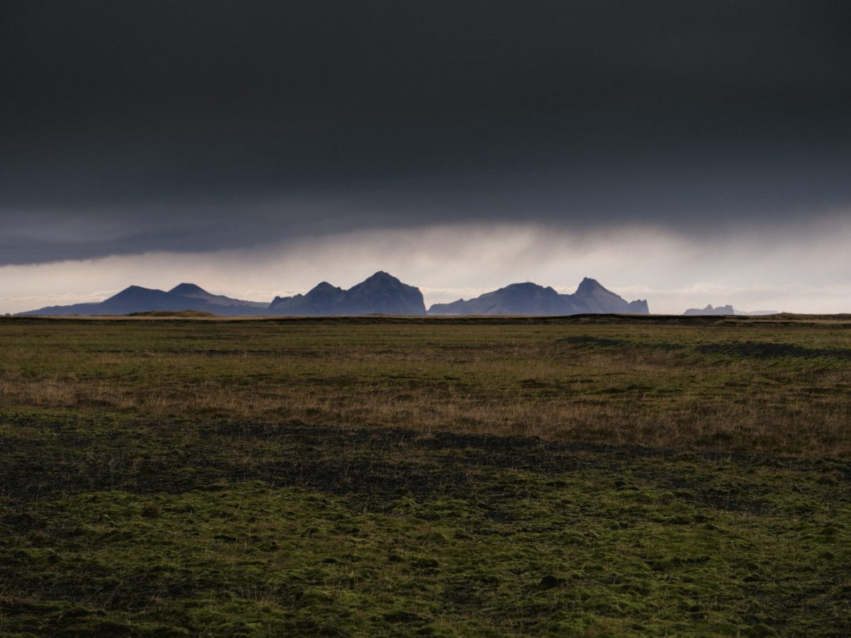 Strong Actions In The Westman Islands Have Been Successful