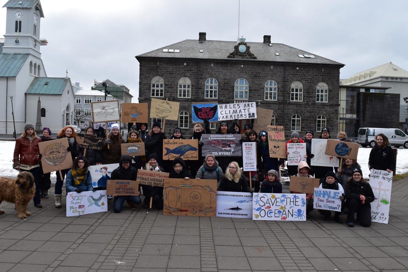 Icelanders Against Whaling Release Open Letter To The Government