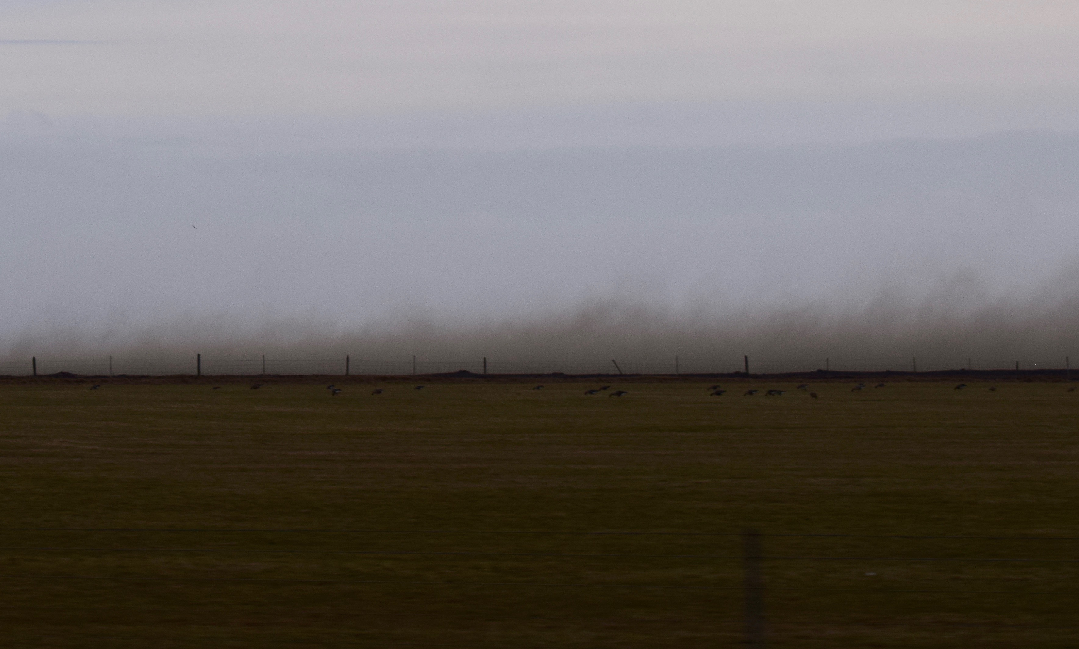The Dust Storm: Wild Winds & ATV Adventures On The South Coast