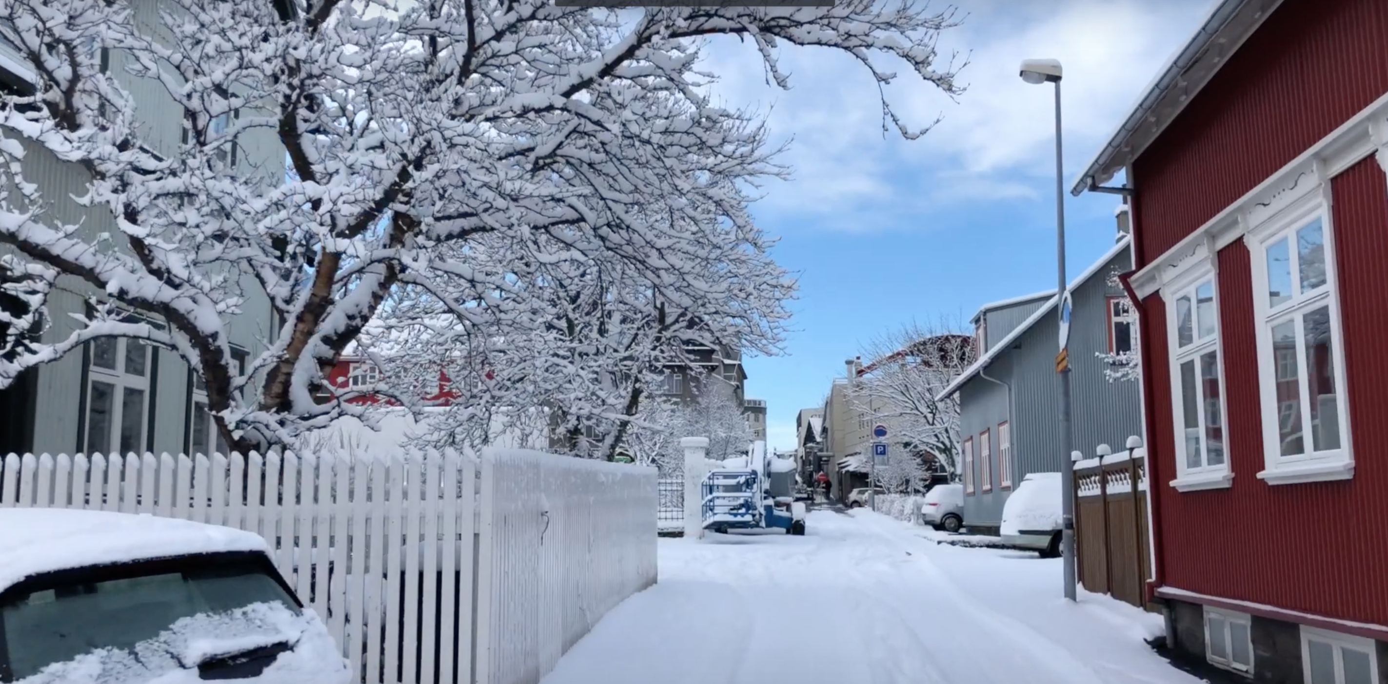 Video: Spring Is Here: No, This Is Not An April Fool’s Day Joke
