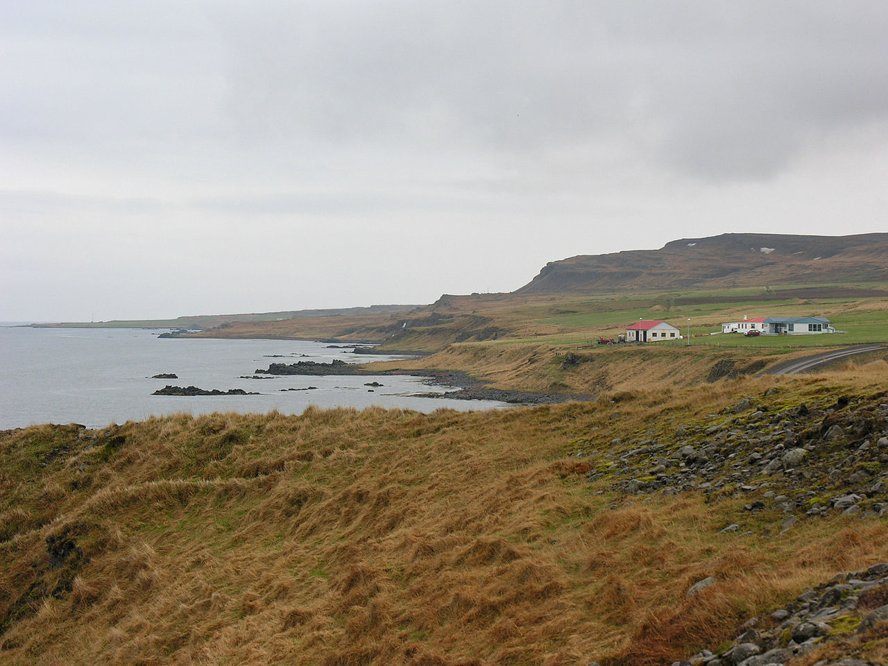 Icelandic Olympian Speaks Out About Coronavirus Shame