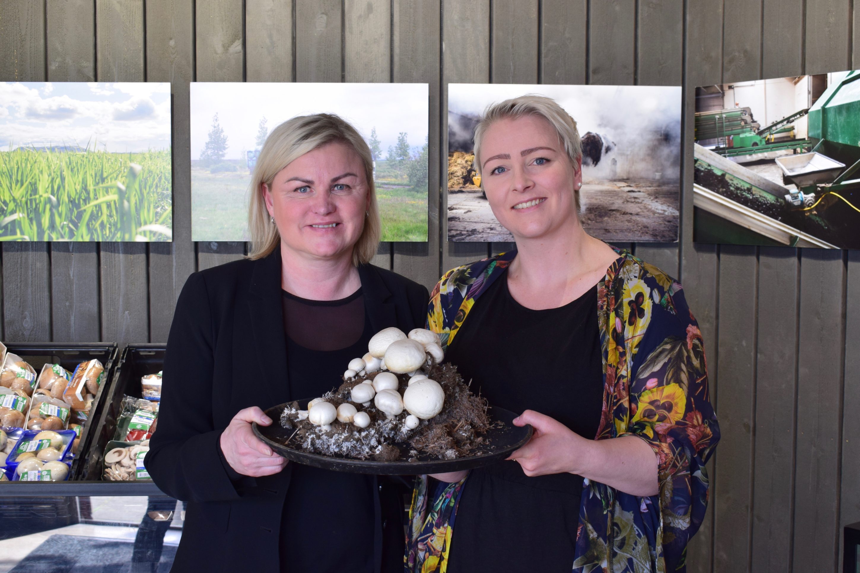 Farmer’s Bistro: A ‘Shroom Trip For The Whole Family