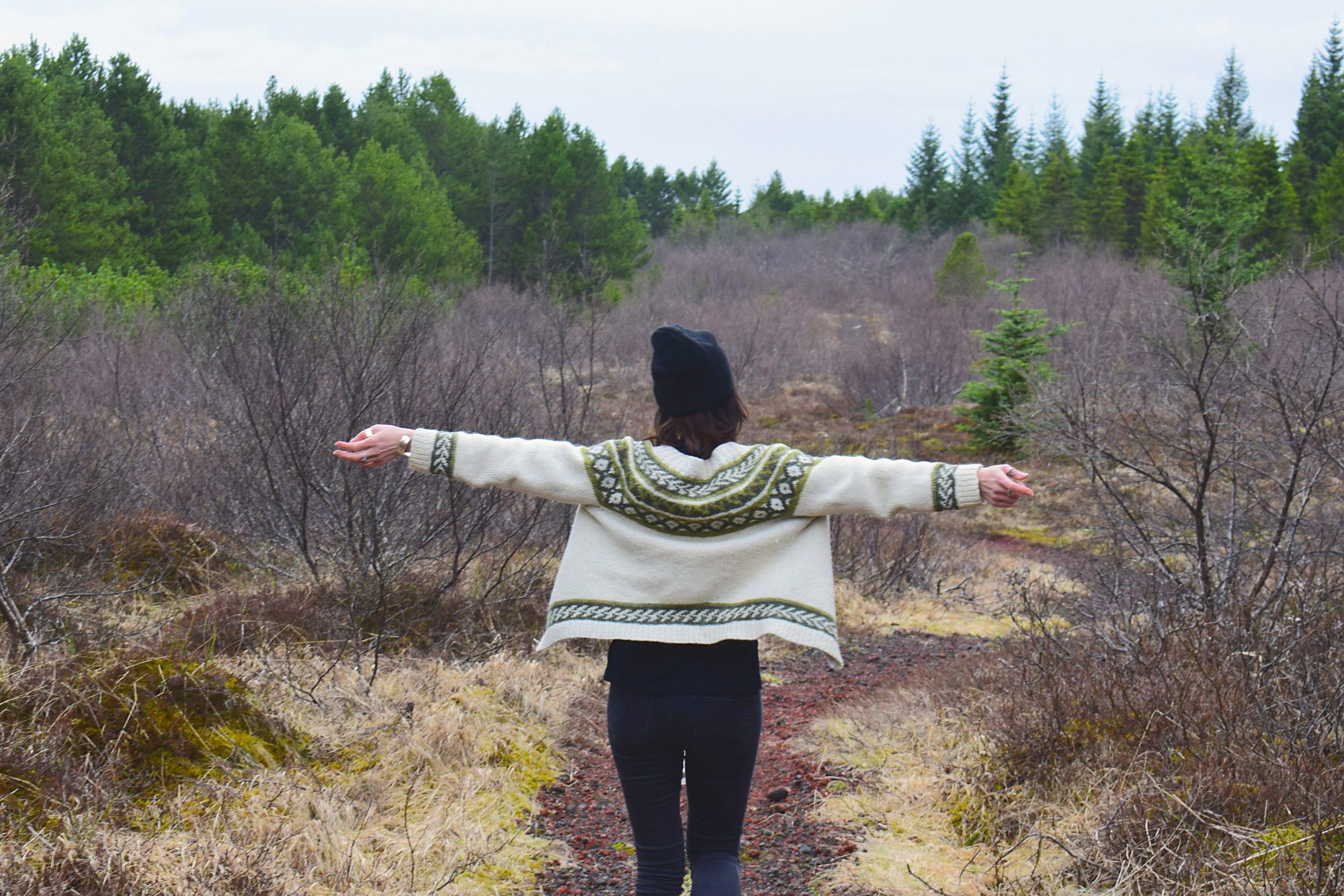 The Green Circle: An Eco-Tourism Road Trip In South Iceland