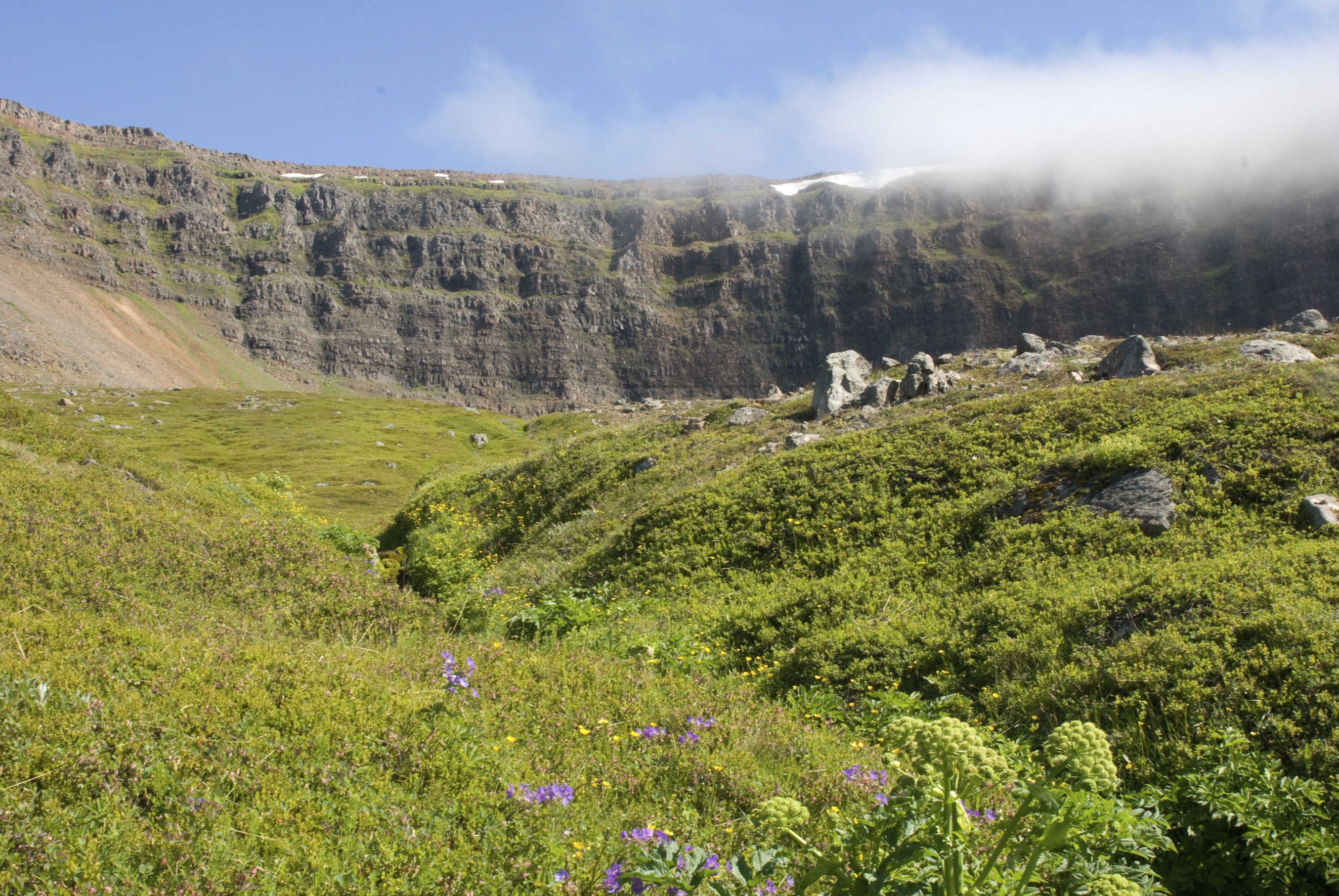 Winner of the "Best tour" in the westfjords