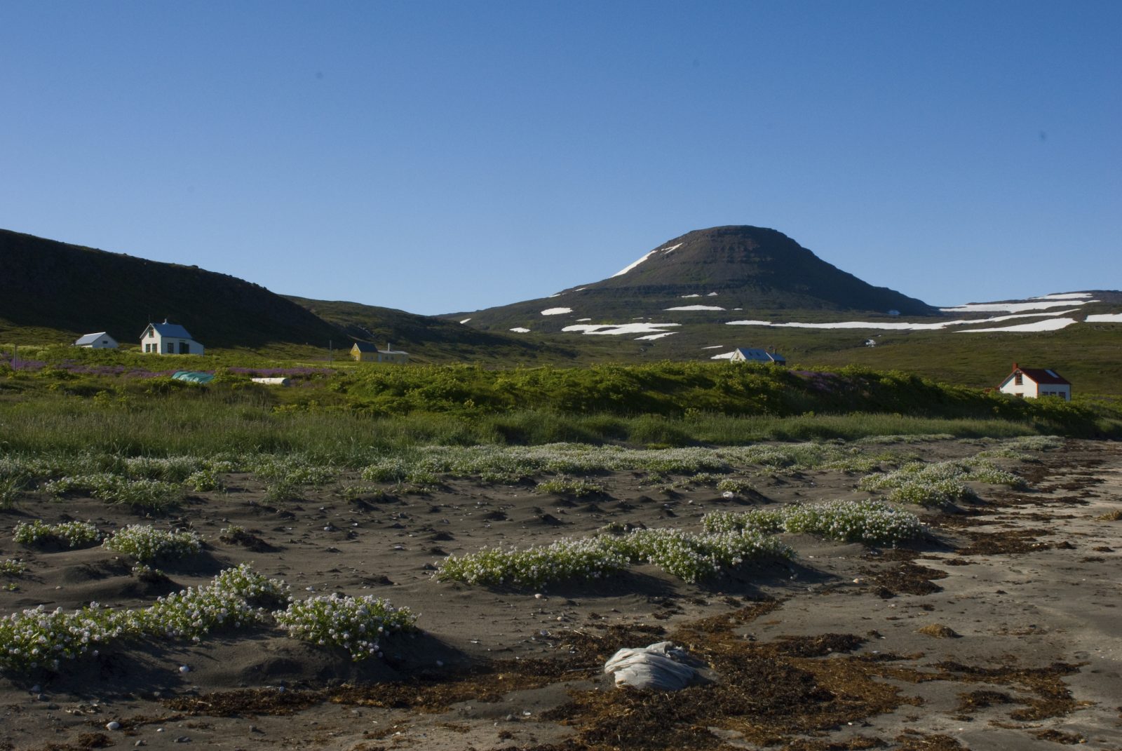 Best Of The Westfjords 2019: Best Tour
