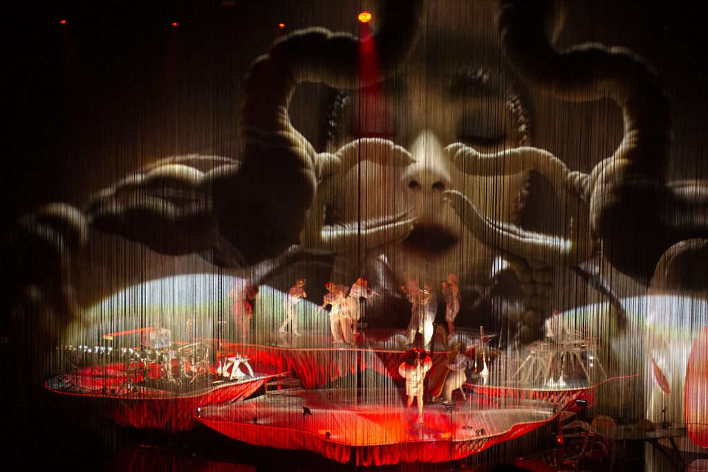 Björk Cornucopia by Santiago Felipe