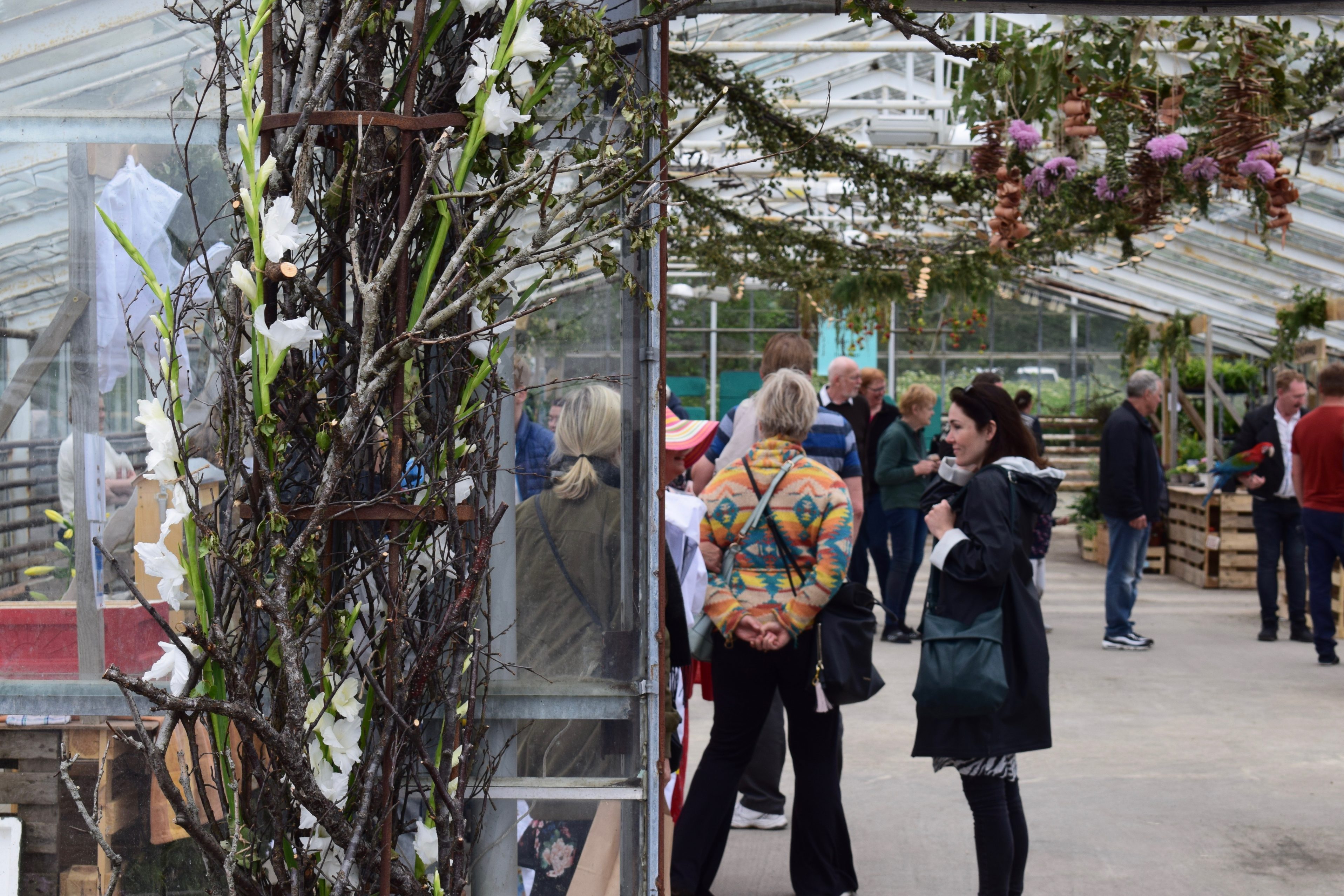 Flowers In Town: Blóm Í Bæ Festival Brings Hveragerði To Life