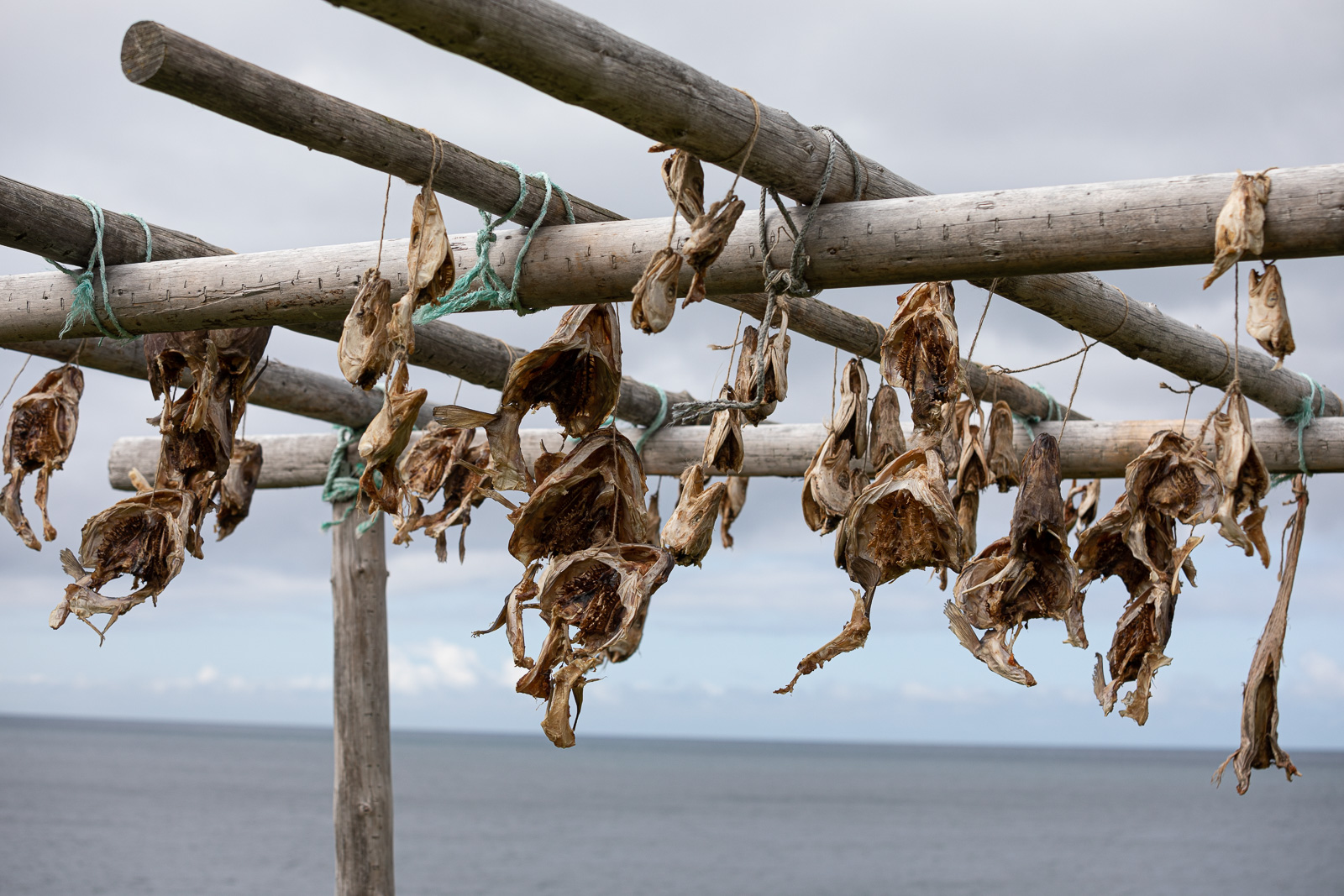 Food of Iceland: Harðfiskur