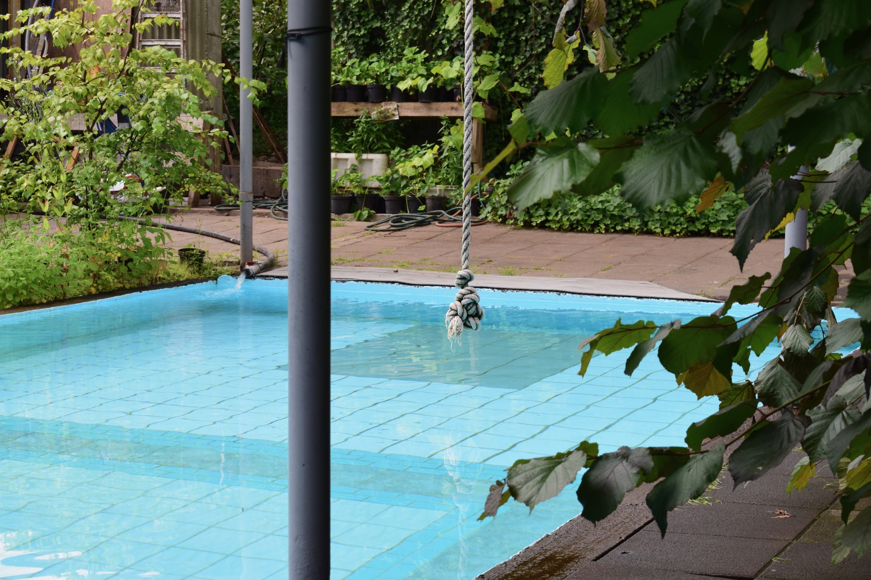The Secret Greenhouse: A Hidden Bathing Paradise At Heydalur