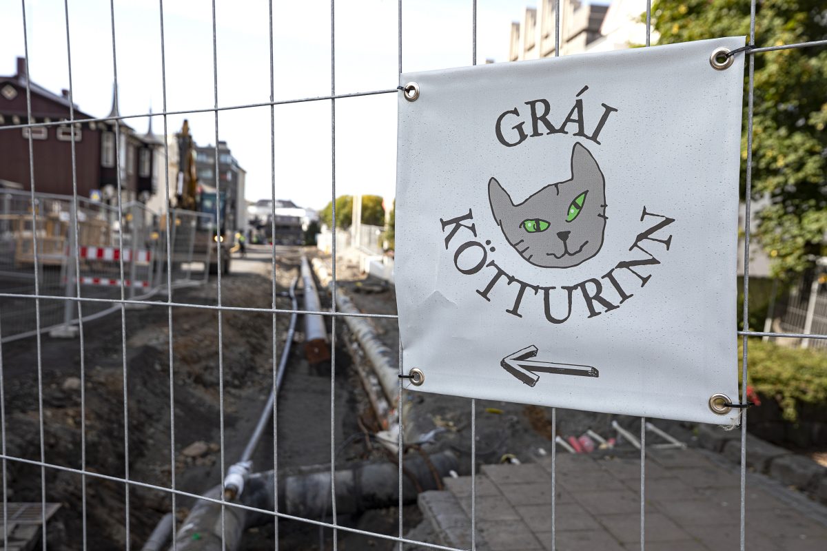Work On Hverfisgata A Nuisance: Construction Lags While Businesses Suffer