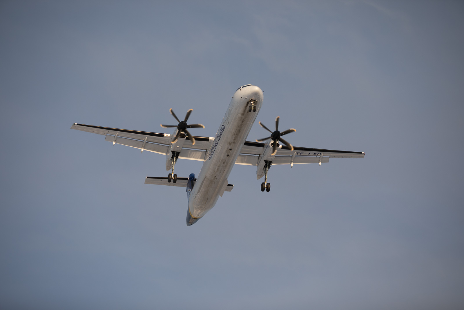 COVID-19 In Iceland: 14-Day Quarantine For Tourists, Antibody Tests Increased