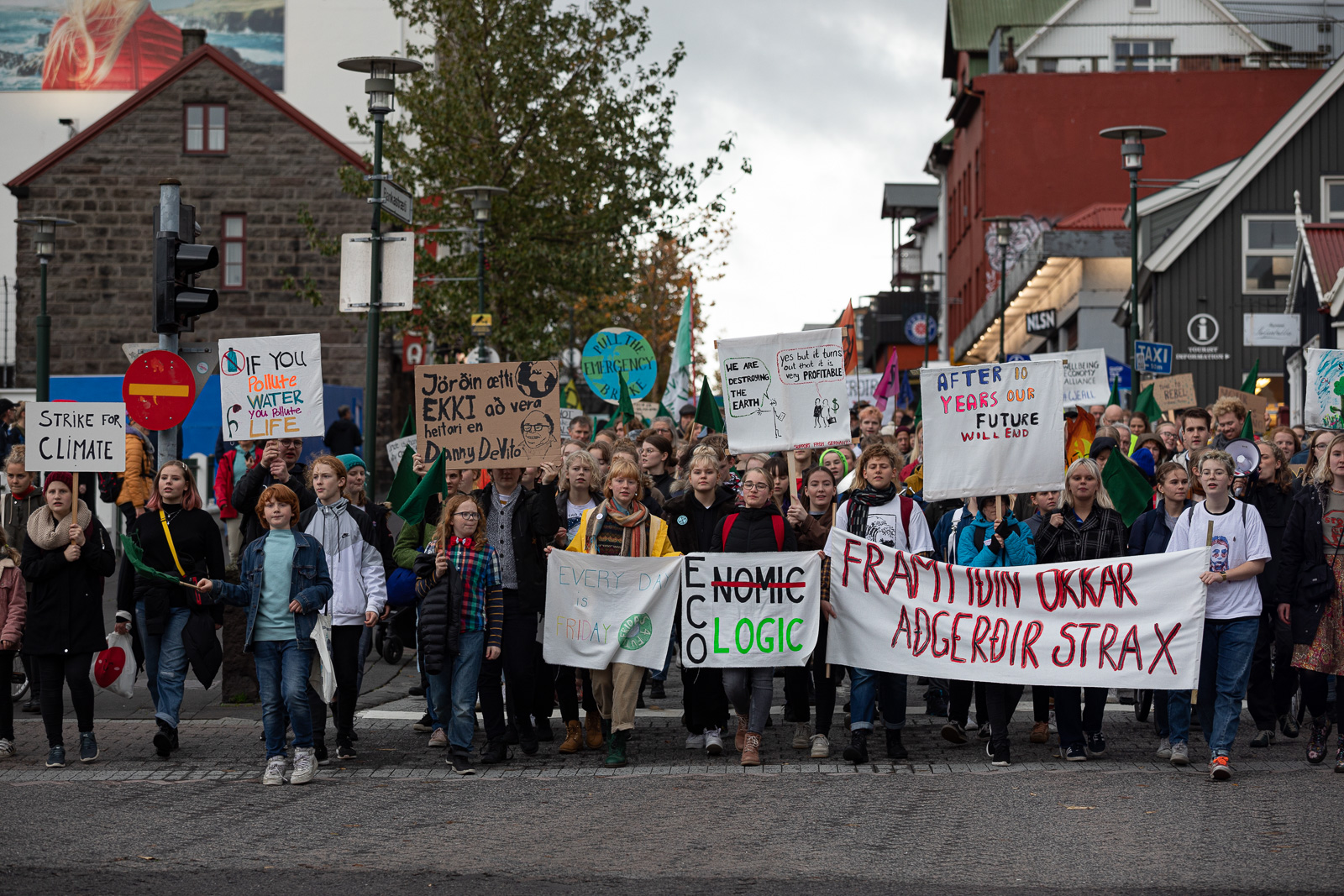 Reykjavík Strikes Back: Iceland And The Climate Strike
