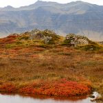 travel iceland
