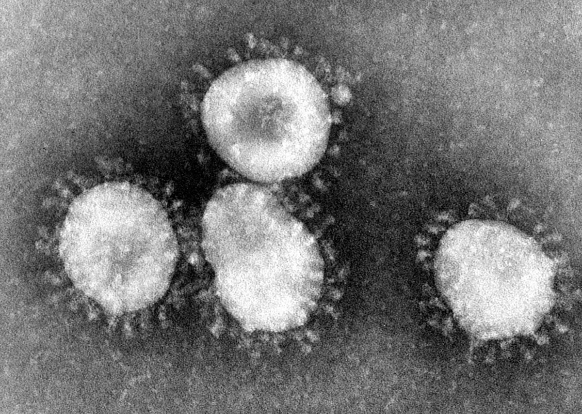 Directorate Of Health Issues Coronavirus Q&A In English