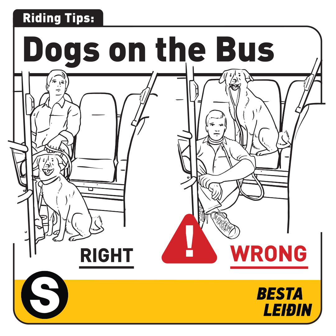 The Etiquette Of Bus Riding Drawn Out For Your Pleasure