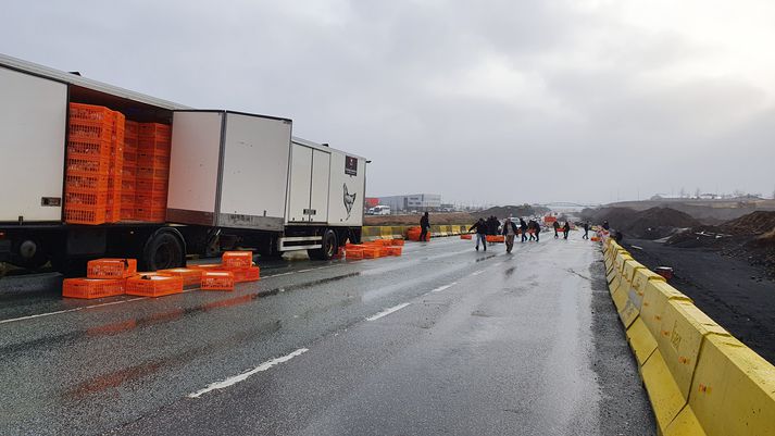 Chickens Stop Traffic On Reykjanesbraut