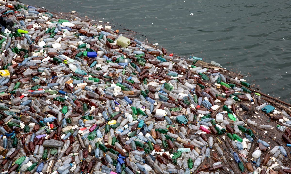 Reminder: Plastic Bags Are Now Banned In Shops