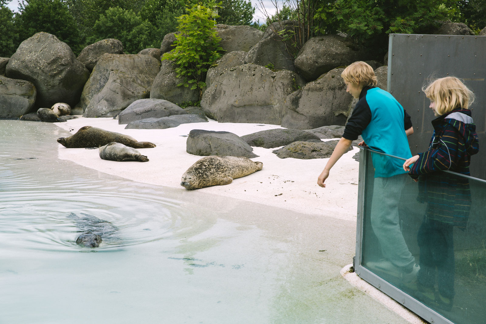 Best Of Reykjavík Activities 2022: Best Place To Spend Time With The Kids (Summer!)