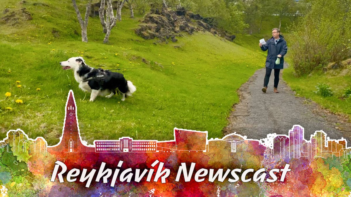 Reykjavik Newscast #6: Hellisgerði, Borders and Solidarity Demonstrations