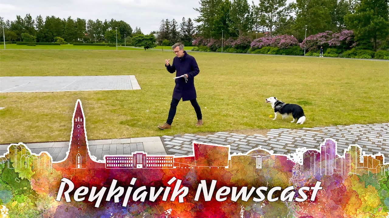 Reykjavik Newscast#11: The Kári Testing Drama Continues, Just Play Ja Ja Ding Dong Already